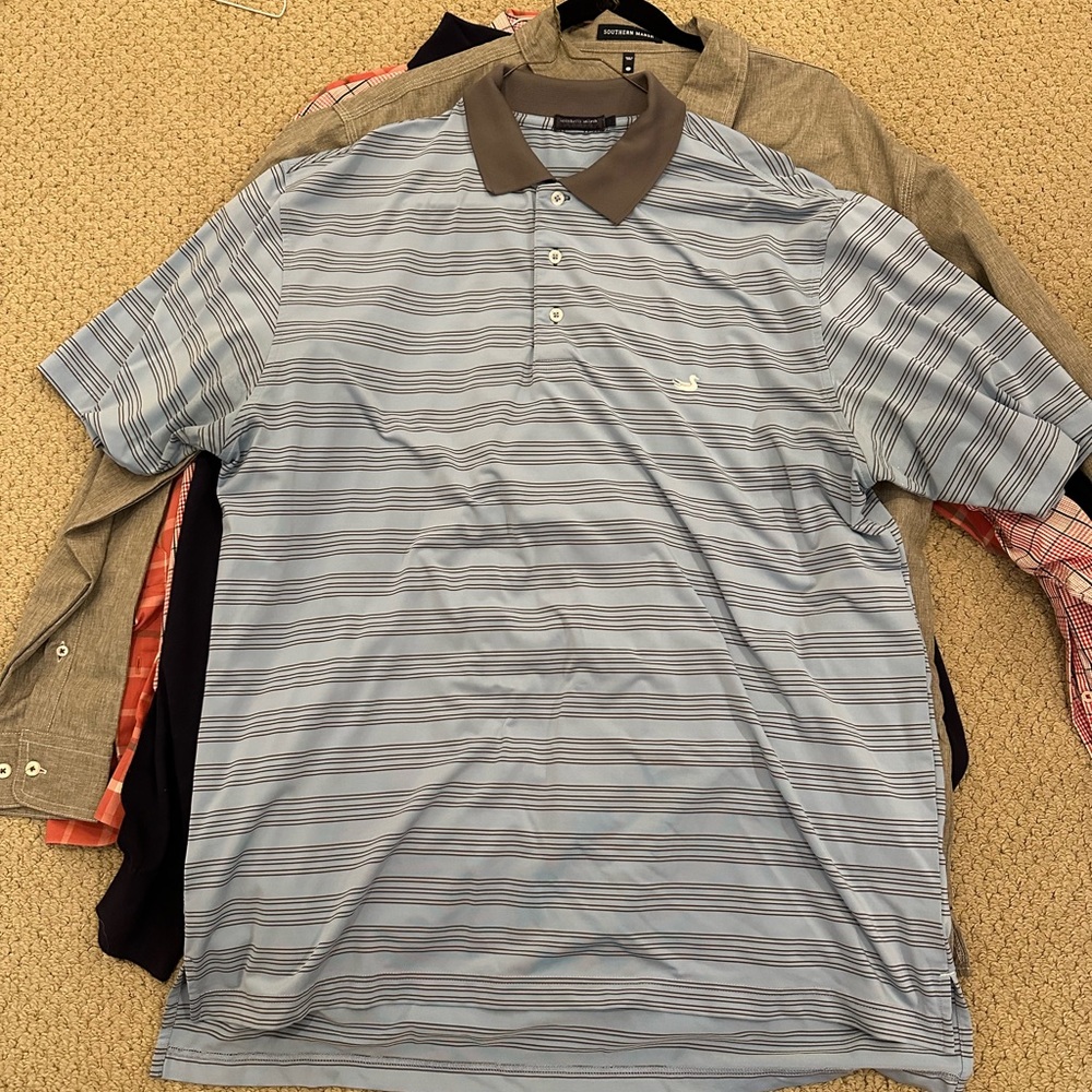Southern Marsh Polo